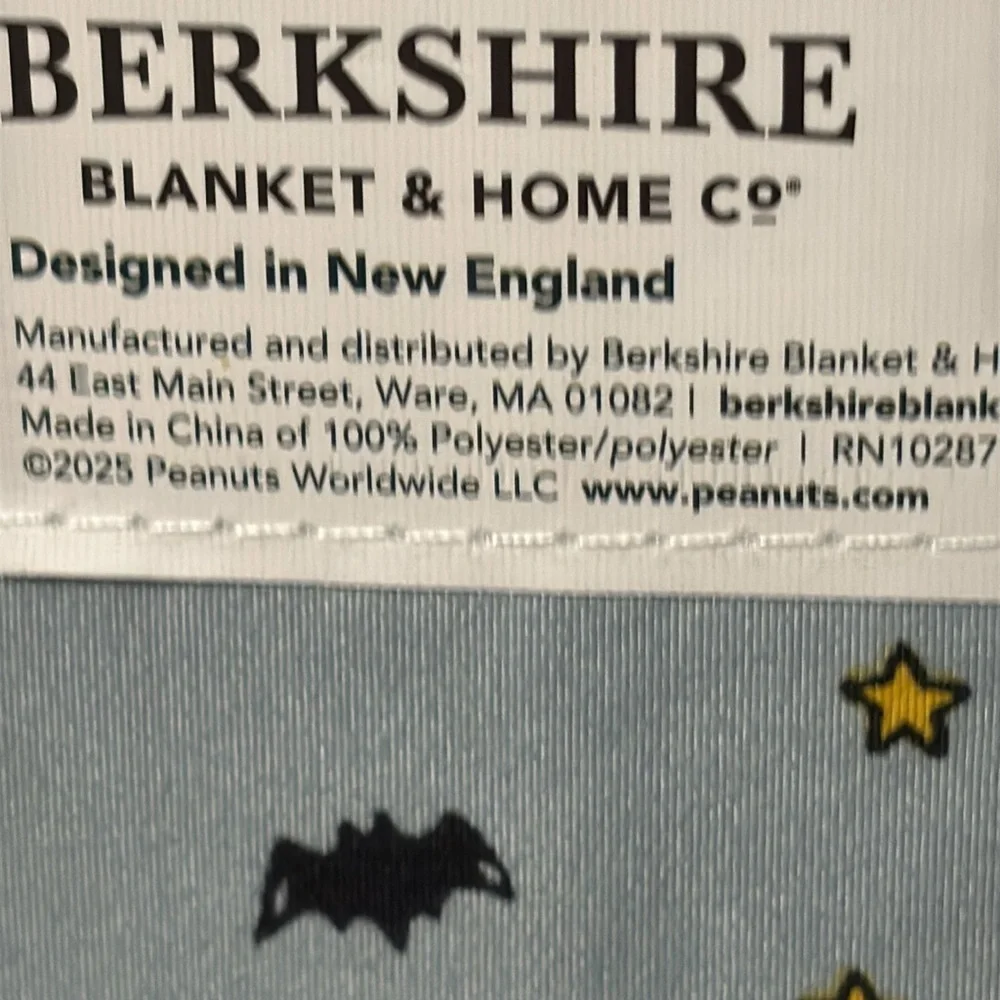 NEW! Peanuts SNOOPY GHOSTS & BATS LT BLUE KING SIZE HALLOWEEN SHEET SET